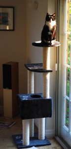 Our chief tester, Monkey, has been usurped by his buddy, Jonny - he is king of the castle!