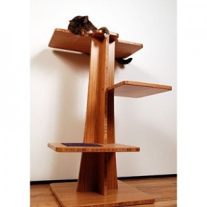 Acacia cat tower