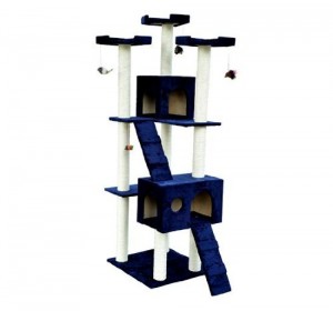 Pawhut 72" in blue