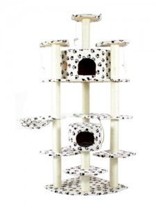 Available in pawprint!
