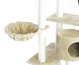 The sturdy hammock
