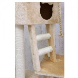 Cute cat-shaped entrances!